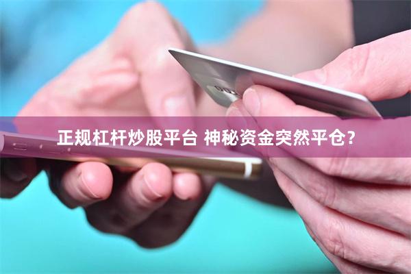 正规杠杆炒股平台 神秘资金突然平仓？