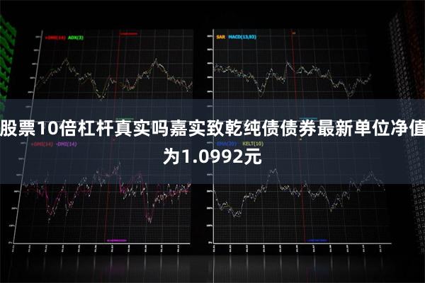 股票10倍杠杆真实吗嘉实致乾纯债债券最新单位净值为1.0992元