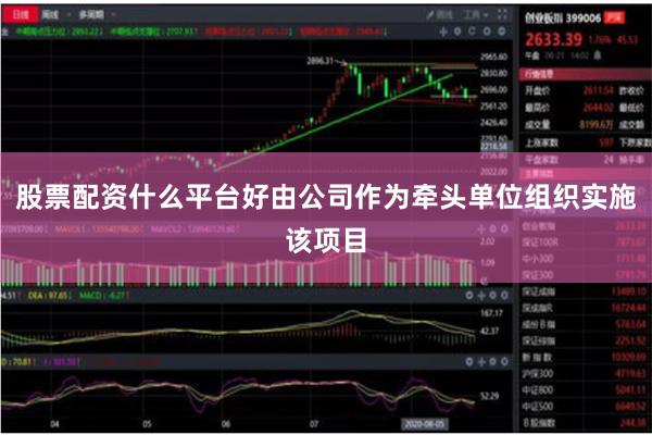 股票配资什么平台好由公司作为牵头单位组织实施该项目