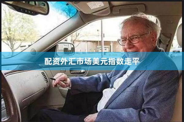 配资外汇市场美元指数走平